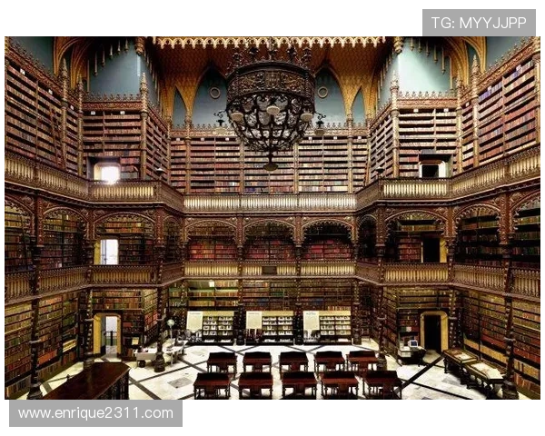 尊龙z6.com网址官方地址安全指南，教你识别正规平台保障个人信息安全